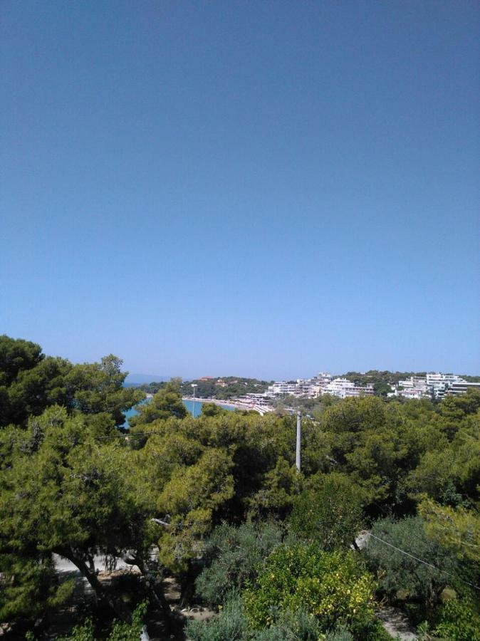 Comfortable Garden Apt Near Vouliagmeni Beach เอเธนส์ ภายนอก รูปภาพ
